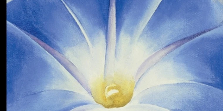 creator header picture