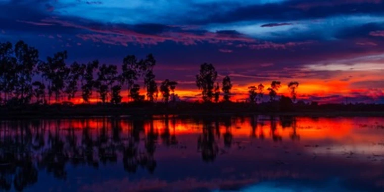 creator header picture