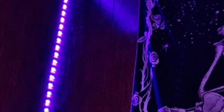 creator header picture