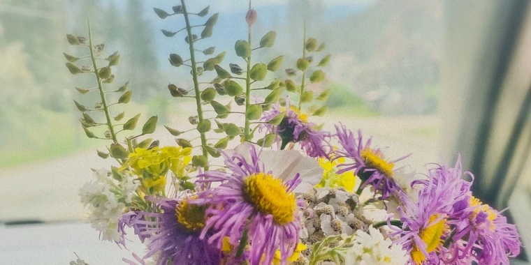 creator header picture