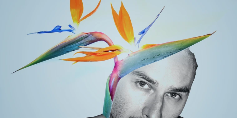 creator header picture