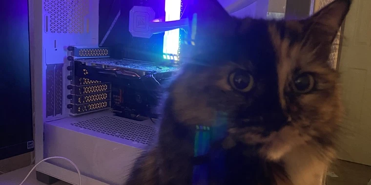 creator header picture