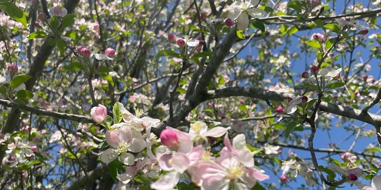 creator header picture