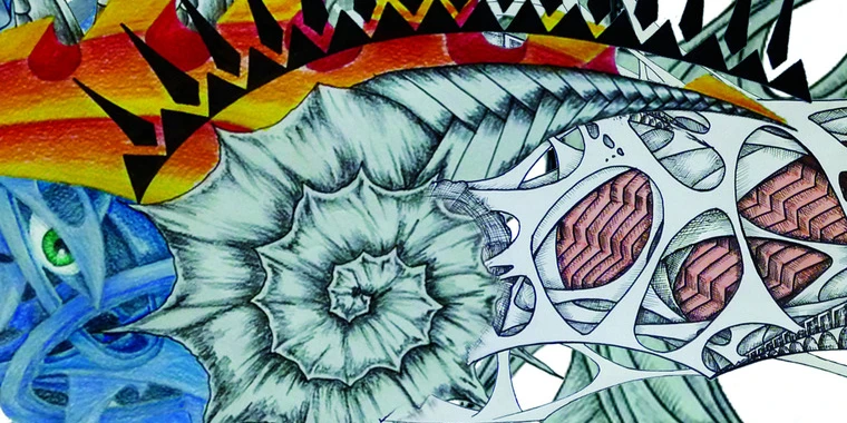 creator header picture
