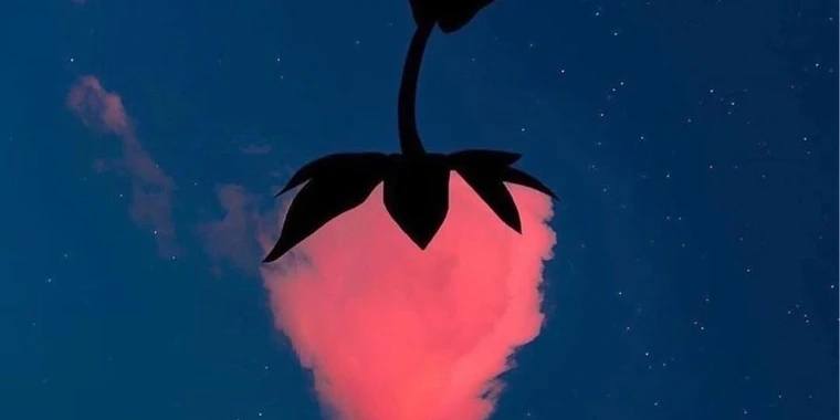 creator header picture