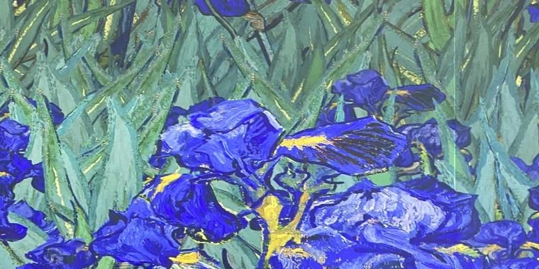 creator header picture