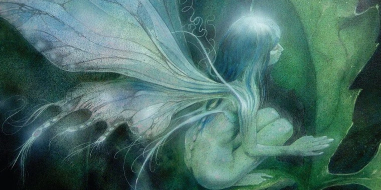 creator header picture