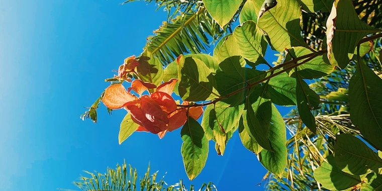 creator header picture