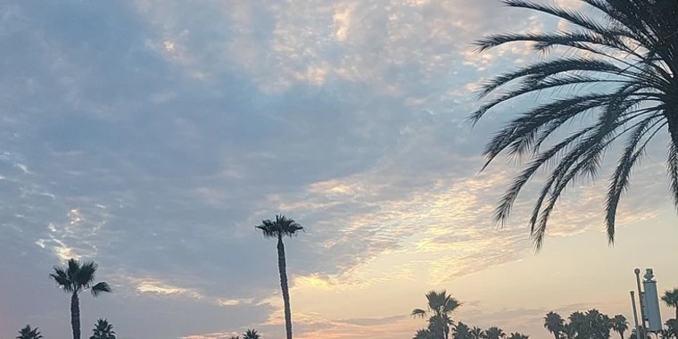 creator header picture