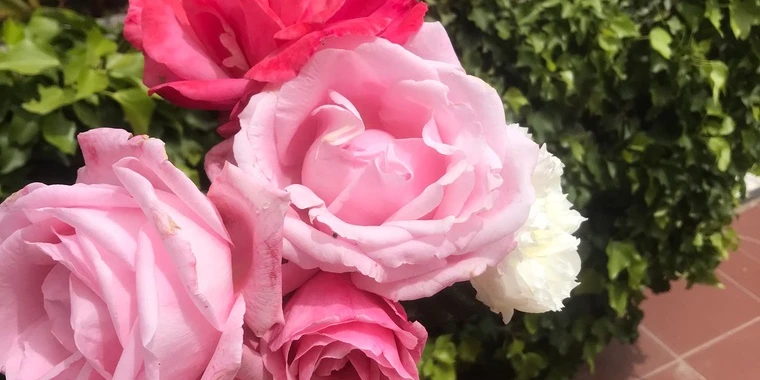 creator header picture