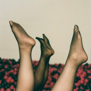 A. Nylons