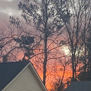 Shelton