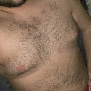 A Bear