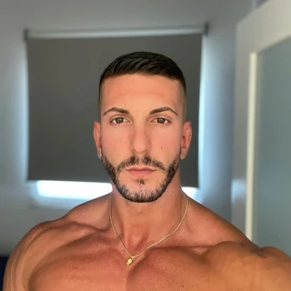 Ace Stallion