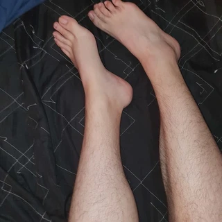 Adam Bear