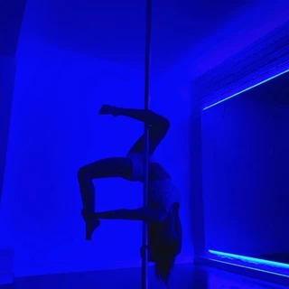 Honey the pole princess
