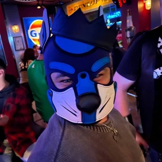 pup astro