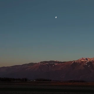 aesthetic