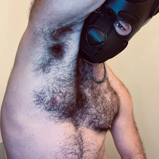 Alpha Wolf Æther