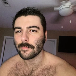 🐻