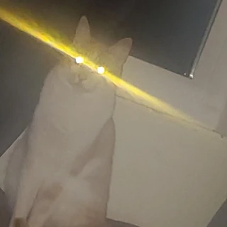 A.