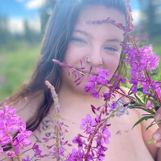 Alaska Rose