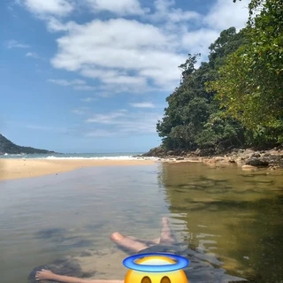 Arthur Henrique
