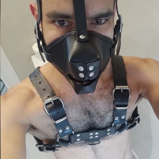 Alexanderwolf