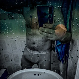 alfonsin sesos