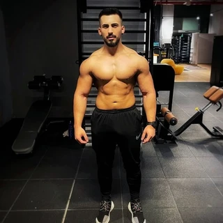 Alecø
