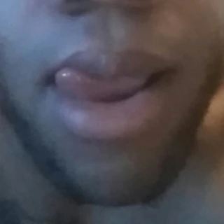 Ant