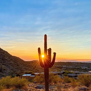 AZ Content Club