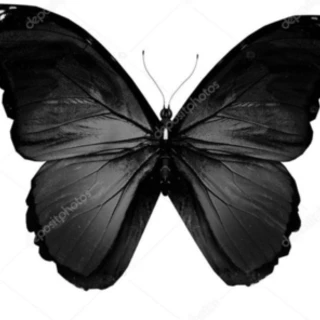 🦋