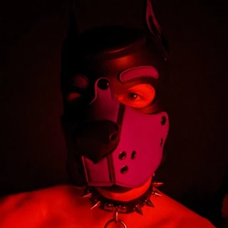Bad Puppy