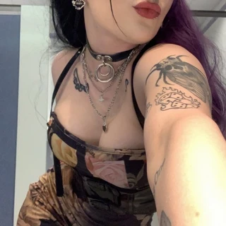 Bambi Nova