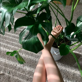Barbzorrr’s Feet