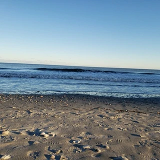 Beach_voyeur