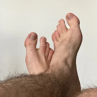 🐻👣