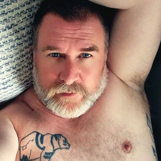The Daddy Bear Life