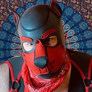 Bear Pup Gaymer