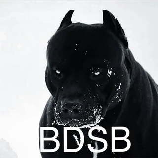 Big Dog Sports Bets