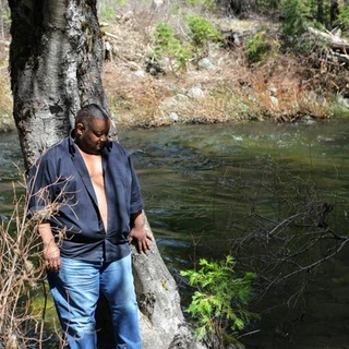 Black Bear Waiting