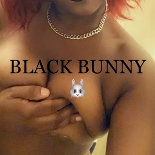 Black Bunny 🐰