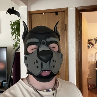 Good Boy 🐶