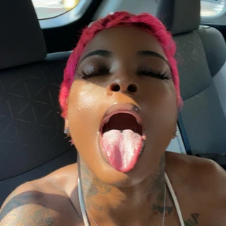 THEBULLSHOW