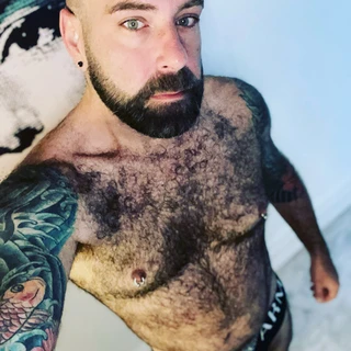 Furry Fella