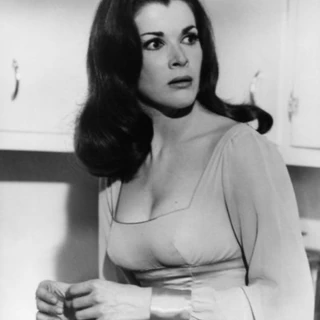 Carter Phoenix