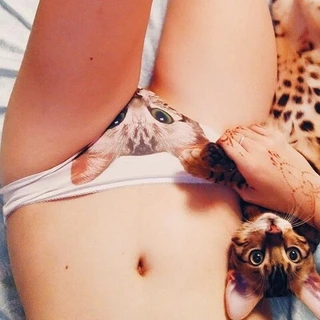 Cat Pussy