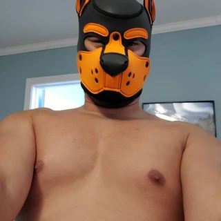 Pup Jaws