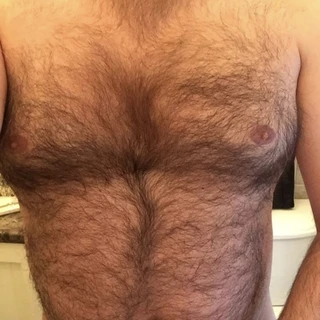 Chubby Bears
